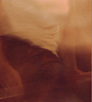 Auto portrait 3 T.O.